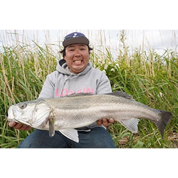 ＫＩＣＫＢＥＡＴ　５５ｍｍ　１２ｇ